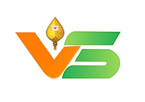 Vel Software Logo